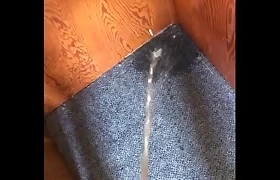 Desperate Pee On Brothers Carpet